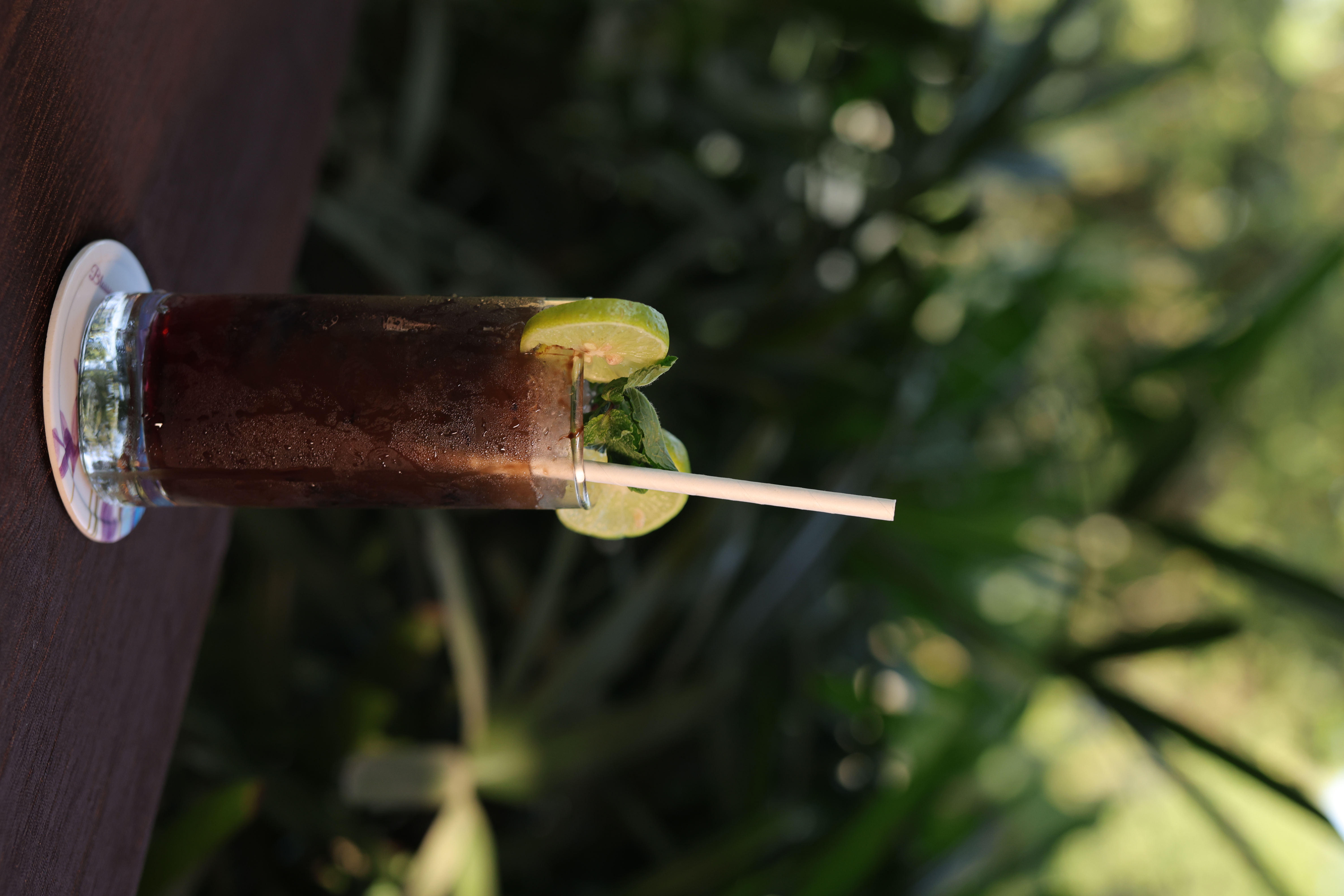 Refreshing iced drink with mint and lime garnish at Jatra Countryside